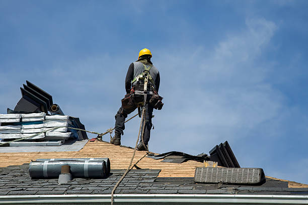 Professional Gutter Installation technician working in Fruitland, NC